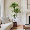 Faux Black Olive Tree, Fake Olive Tree Artificial Tree with Lights,Faux Trees Indoor with Black Planter and Realistic Leaves for Home Office DéCor De - 4 of 4