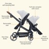 Newborn & Toddler Foldable Double Stroller - Reversible Seat, 5-Point Harness, Adjustable Backrest, Sun Canopy & Under-Seat Storage Basket - 4 of 4