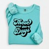 Simply Sage Market These Are The Days Retro Lightweight Garment Dyed Sweatshirt - 2 of 4