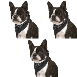 3 Pack Paisley Polyester Triangle Dog Bandanas Lightweight Stylish Pets - 1 of 4