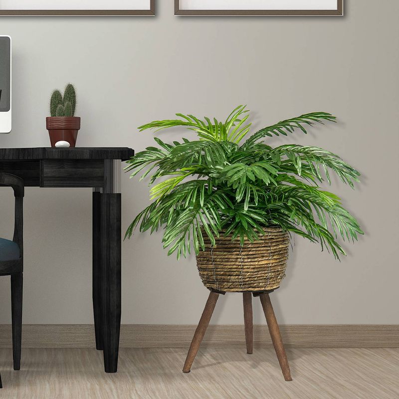 30&#34; x 18&#34; Artificial Phoenix Palm Plant in Basket Stand - LCG Florals, 6 of 9