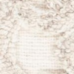 camel/ivory