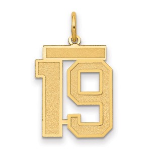 Black Bow Jewelry 14k Yellow Gold, Jersey Collection, Medium Number 19 Pendant - 1 of 3