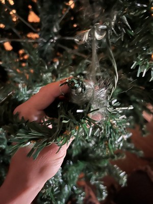 Guest review image 1 of 2, zoom in