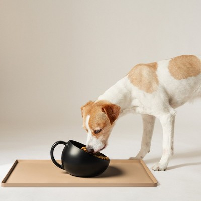 Large Black Non-Slip Dog Bowl with Handle