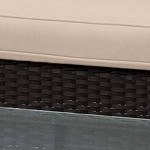 Black with Beige Cushions