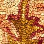 maroon, mustard, olive