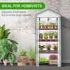 Karl Home | 27 in. W x 19 in. D x 62 in. H PE-covered Portable Greenhouse - 2 of 4