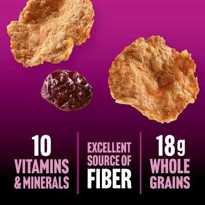 Kellogg's Raisin Bran Protein Breakfast Cereal - 17.3oz