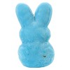 Peeps 17" Easter Rabbit Plush Blue - 3 of 4