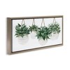 Stupell Industries Hanging Planters House Plants, 25" x 11" - 3 of 4