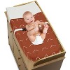Sweet Jojo Designs Boy or Girl Gender Neutral Unisex Changing Pad Cover Diamond Tuft Orange and White - 3 of 4
