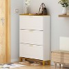 FUFU&GAGA Shoe Cabinet White with Foldable Compartments & Drawer - 2 of 4