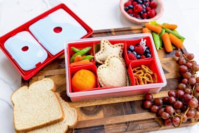 Fit and Fresh Multi-Flex Bento Lunch Box with 2 Ice Packs Meal