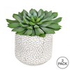 Vickerman 6" Artificial Green Potted Succulent, Pack of 2 - 3 of 4