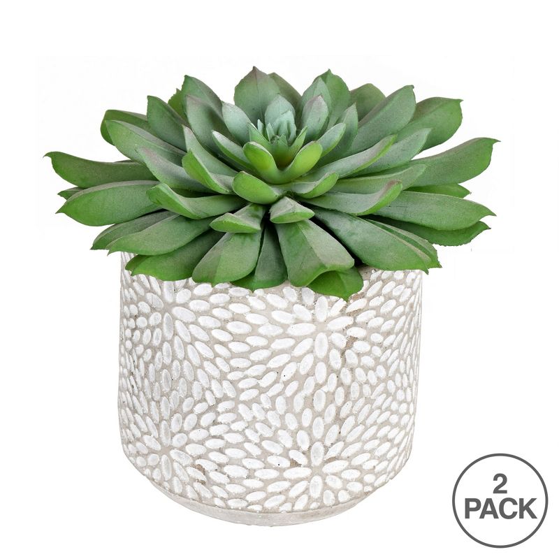 Vickerman 6" Artificial Green Potted Succulent, Pack of 2, 3 of 5
