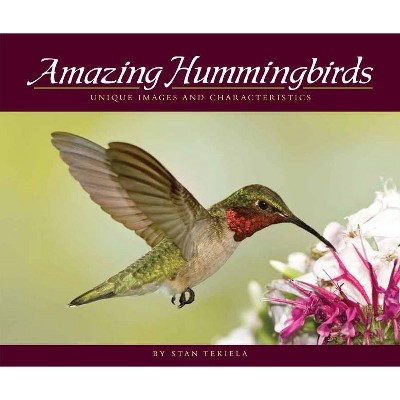 Amazing Hummingbirds - (Wildlife Appreciation) by  Stan Tekiela (Paperback)