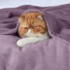 Bedsure | Flannel Blanket Solid 300GSM Soft Fuzzy Plush  Bed Blanket - 3 of 4