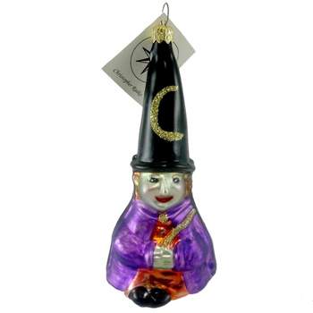 Christopher Radko Company Night Magic  -  1 Glass Ornament 4.50 Inches -  Ornament Halloween Witch  -  960020  -  Glass  -  Purple