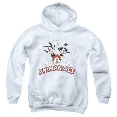 Boys’ Animaniacs Animaniacs Trio Hooded Sweatshirt