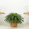 Nearly Natural 23-in Artificial Boston Fern Plant with Handmade Jute & Cotton Basket DIY KIT - 3 of 4