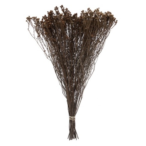 Vickerman Natural Botanicals 19" x 4" Staavia, 100 grams per Unit - image 1 of 4