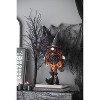 Gulches Decor: Lanterns, Ornaments, Pumpkins, Gnomes & Banners for Festive Indoor/Outdoor Decor - 4 of 4