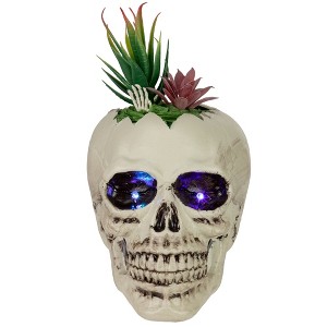 Northlight LED Lighted Succulent Halloween Skull Planter - 8.75" - 1 of 4