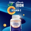 Ferrous Fumarate 325 mg + Vitamin C 100 mg - 120 Tablets - 4 of 4
