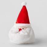 Santa Face Costume Hat - Wondershop™