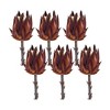 Melrose Protea Stem (Set of 6) - 2 of 3