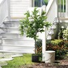 HOMCOM Lifelike Laurel Artificial Tree, 3FT Fake Tree with 345 PEVA Leaves for Home Decor, Green - 3 of 4