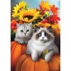 Briarwood Lane Fall Garden Flag 12x18 For Outdoor Fall Cats Floral For Fall Garden Flag Flags For Outside - 3 of 4