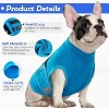 Dog Anxiety Relief Vest, Adjustable Calming Wrap Jacket for Dogs, Helps with Thunderstorm, Travel, Separation & Fireworks Stress - 3 of 4