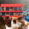 Chicken Nesting Boxes, Metal Egg Laying Box with Lid Cover to Protect Eggs, Rollout Egg Collection, Pull Out Design Easy Cleanable - 3 of 4