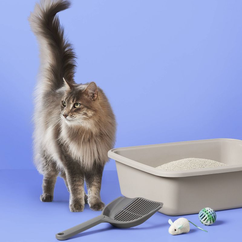 Fragrance Free Scoopable Clumping Cat Litter - 20lbs - up &#38; up&#8482;, 2 of 5