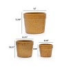 Set of 3 Modern Round Ceramic Planter Pots with Drainage Hole, Ceramic Flower Pots for Windowsills, Patio, or Garden–The Pop Home - 4 of 4