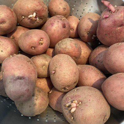 Organic Red Potatoes – Boxed Greens