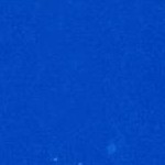 monstera leaf parrot blue