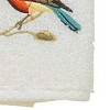 Avanti Premier Songbirds Fingertip Towel - 3 of 3
