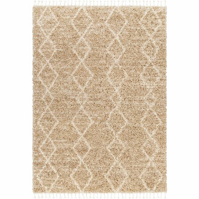 Hauteloom Ishan Plush Rug with Tassels