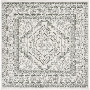 Adirondack ADR108 Non-Shedding Power Loomed Indoor Rugs - Safavieh - 1 of 4