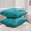 Deconovo Home Velvet Soft Decorative Pillow Covers Invisible Zipper Cushion Cover, 2-Pack - 2 of 4