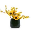 Syemin Planters 4 Pieces Ceramic Flowerpot with Drainage Hole and Saucer, Modern Planter for Patio, Garden or Windowsills, Green, 13.78"*13.78"*11.81" - 4 of 4