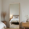 PexFix 21 in. W x 64 in. H Rectangular Metal Framed Full Length Wall Mirror Free Standing Mirror in Gold - 4 of 4