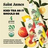 Saint James Pineapple & Mango Organic Green Tea - 16.9 fl oz Box - 4 of 4