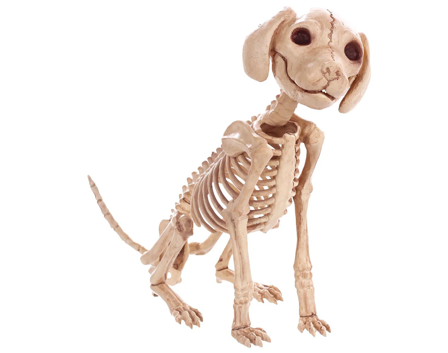 Seasons USA Skelebones Sitting Puppy Halloween Decoration - 12 in - Off-White