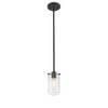 Delaney 1-Light Pendant Light - Modern Glass Shade, Dimmable, 100W, 4" x 8.5" - 4 of 4