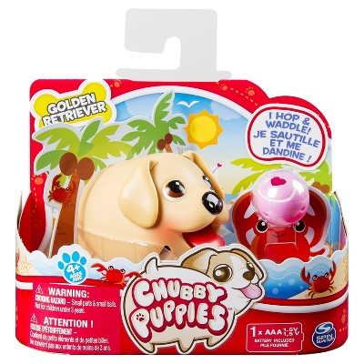 chubby puppies target