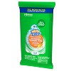 Scrubbing Bubbles Antibacterial Bathroom Flushable Wipes Citrus Action - 36ct - image 4 of 4